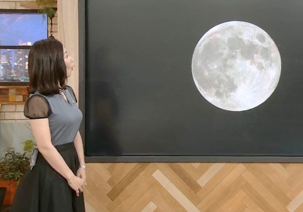 桑子アナの衣装ブランドはどこで値段・画像は?服が過激で炎上絶賛!?